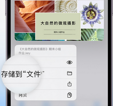 离石apple维修中心分享iPhone文件应用中存储和找到下载文件