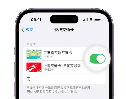 离石apple维修点分享iPhone上更换Apple Pay快捷交通卡手绘卡面 