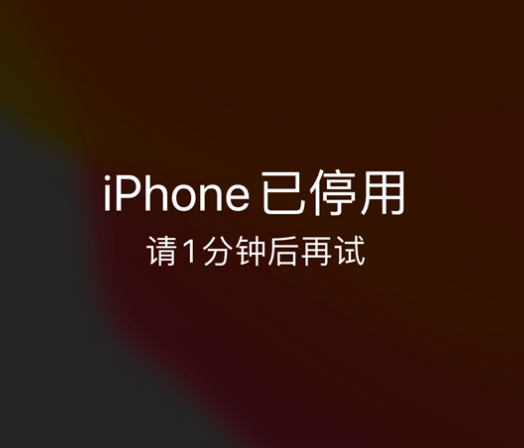 离石苹果手机维修分享:iPhone 显示“不可用”或“已停用”怎么办？还能保留数据吗？ 