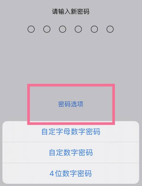 离石苹果14维修分享iPhone 14plus设置密码的方法 