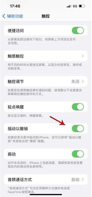 离石苹果手机维修分享iPhone手机如何设置摇一摇删除文字 